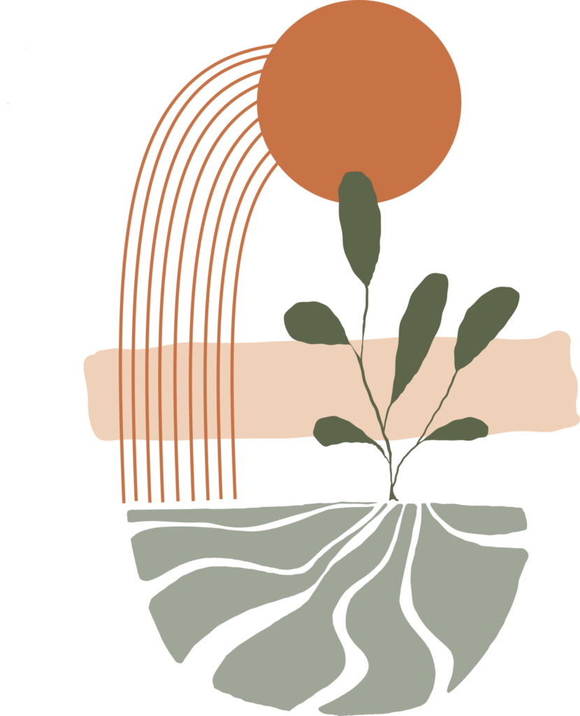 Logo Ss Fond Scaled 830x1024