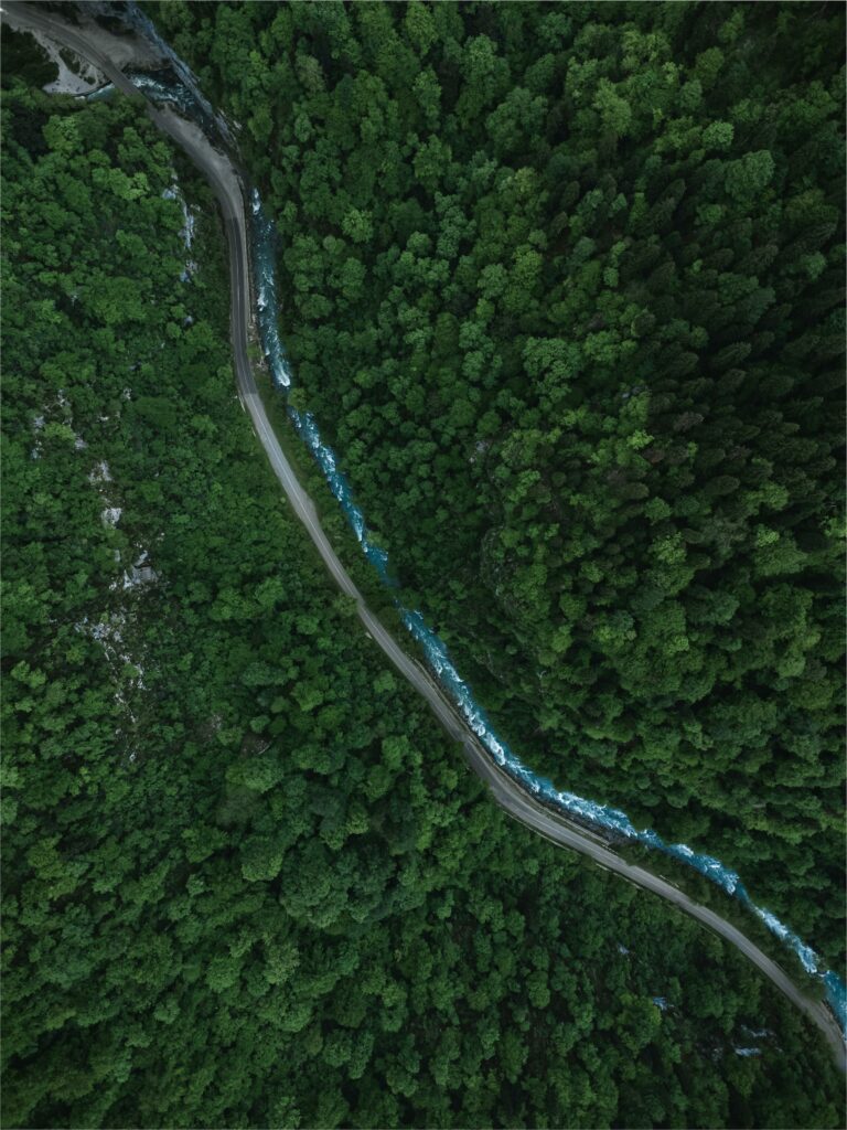 pexels dimafromcrimea 34969509